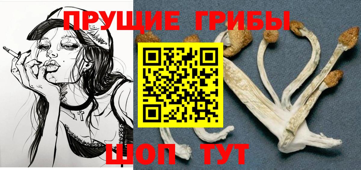 Артёмовский  купить наркотик  Вход с VPN  Галлюциногенные грибы ЛСД  Галлюциногенные грибы мухоморы 