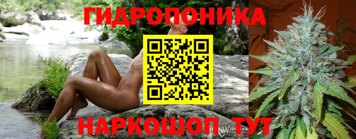 Конопля гибрид Артёмовский